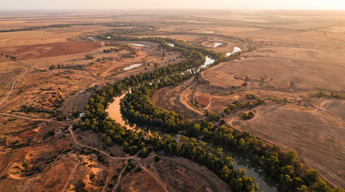 Aerial of the Murray River winding through dry red-brown farmland and river red gums at golden hour, its thin ribbon of water contrasting with the parched land.